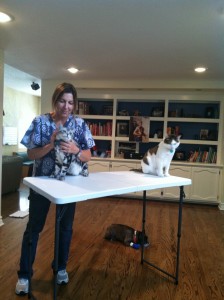 Taz (on the floor) and Neo (on the table) assisting Dr. Fulop while she performs an annual exam on Crunch during a house call.